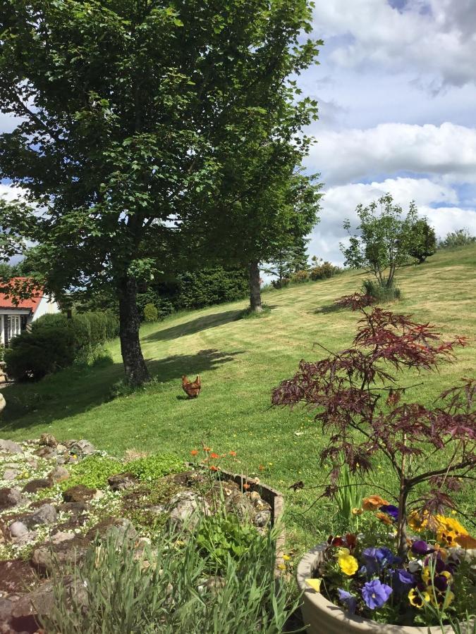 Bed and Breakfast The Burnside Edmondbyers Экстерьер фото